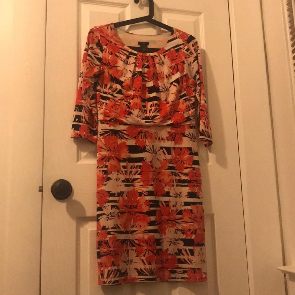 Ann Taylor Floral Striped Dress